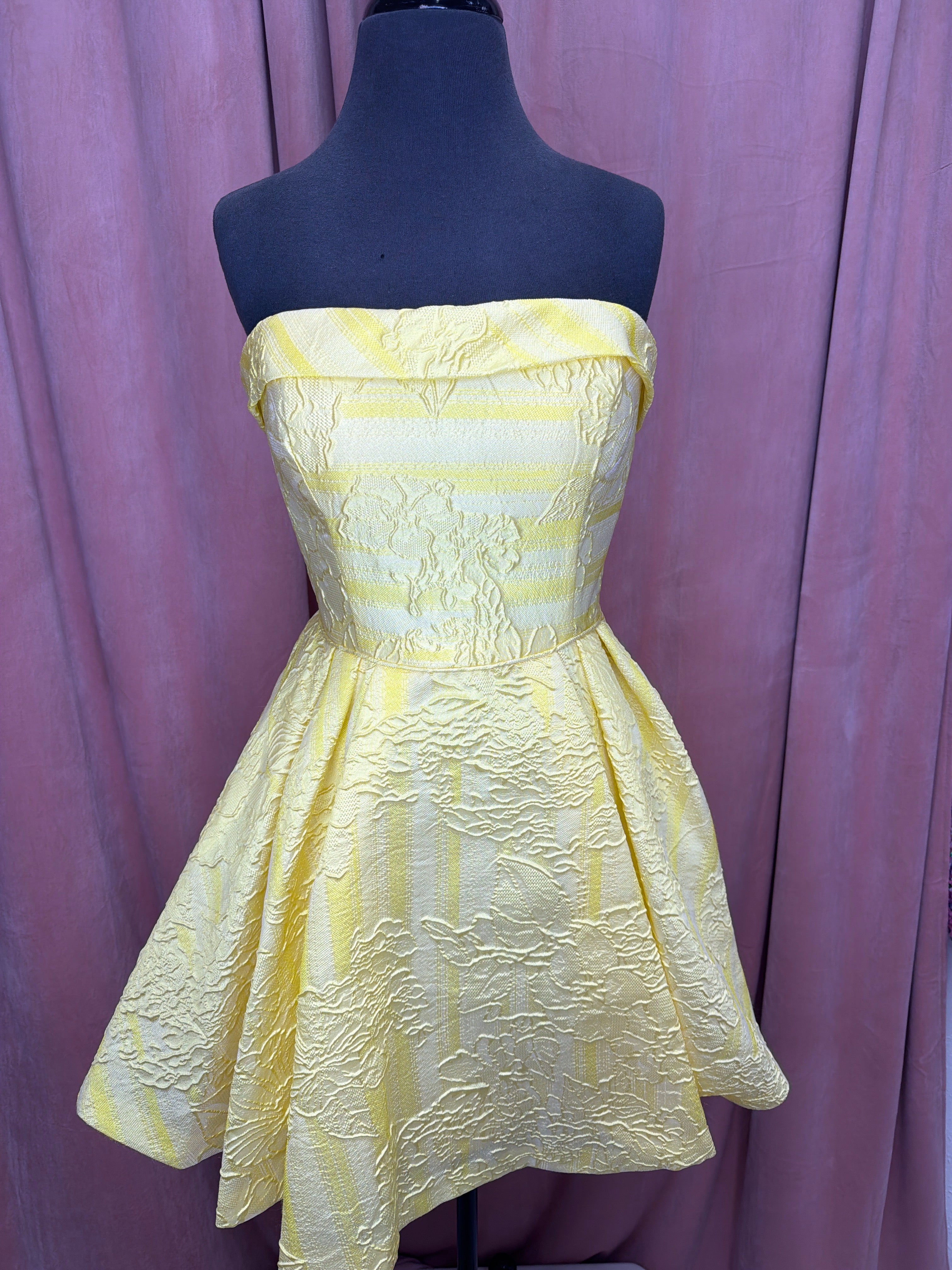 4017/yellow/12/rachel Allan