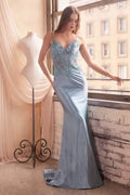 CD5450/ Blue/ Size 8/ Cinderella