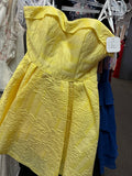 4017/yellow/12/rachel Allan