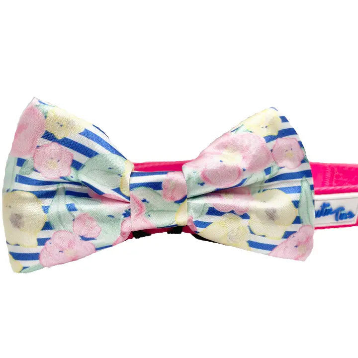Preppy Pet Dog Bow tie