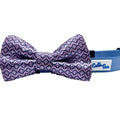 Pink and Blue Dog Bow tie